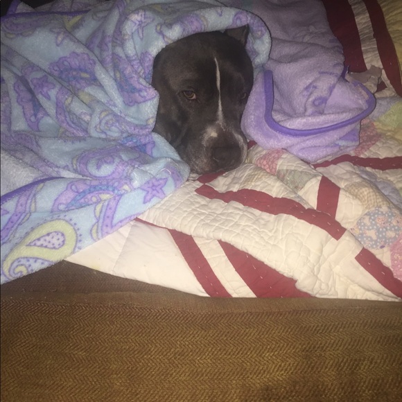 Mother & Daughter Closet makes for more variety💞! - Picture 5 of 12